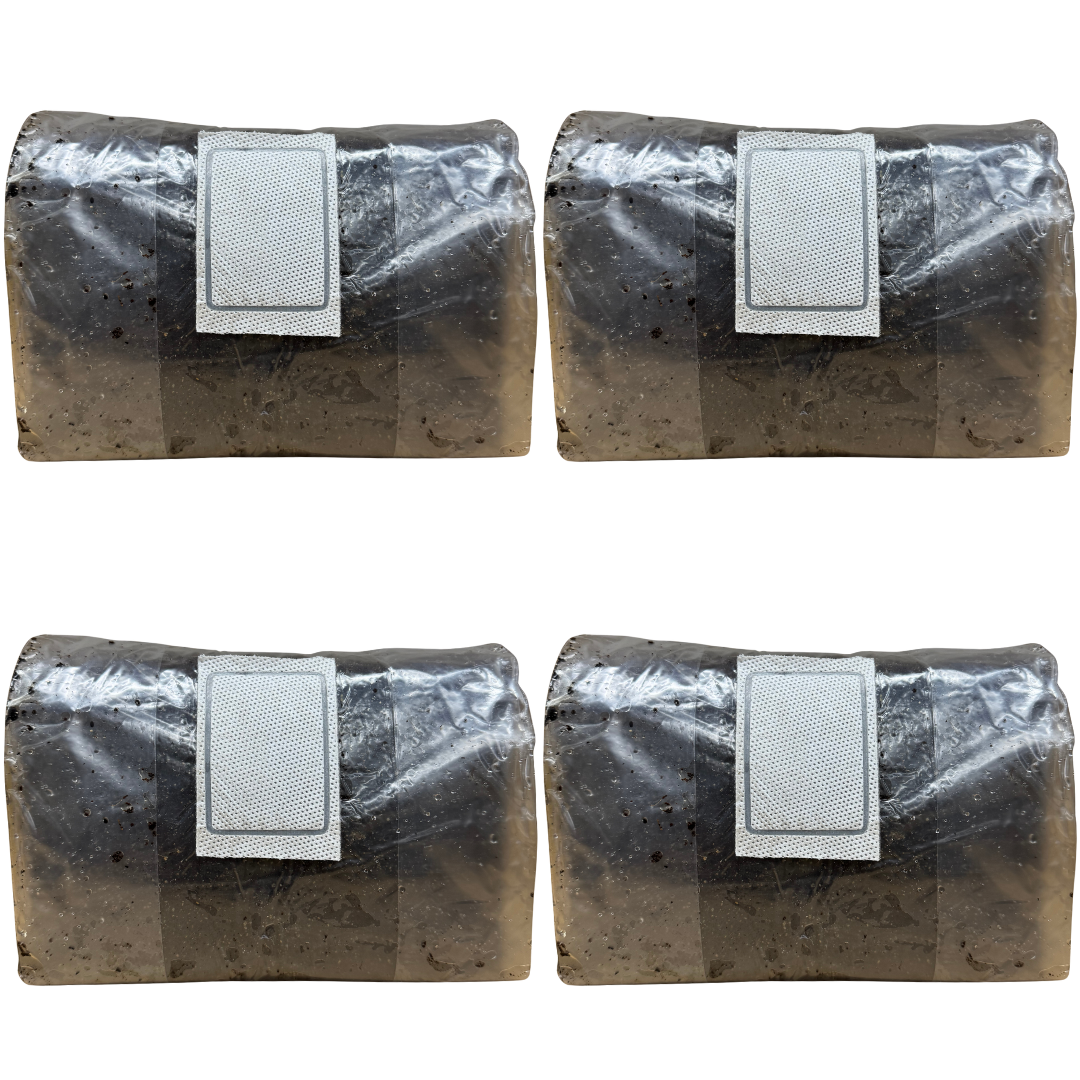 10 lb Pasteurized CVG Substrate | Bulk Mushroom Mix