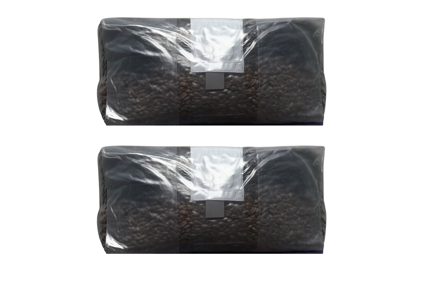 6 lb All-In-One Mushroom Grow Bag | Sterile CVG Kit