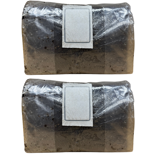 10 lb Pasteurized CVG Substrate | Bulk Mushroom Mix