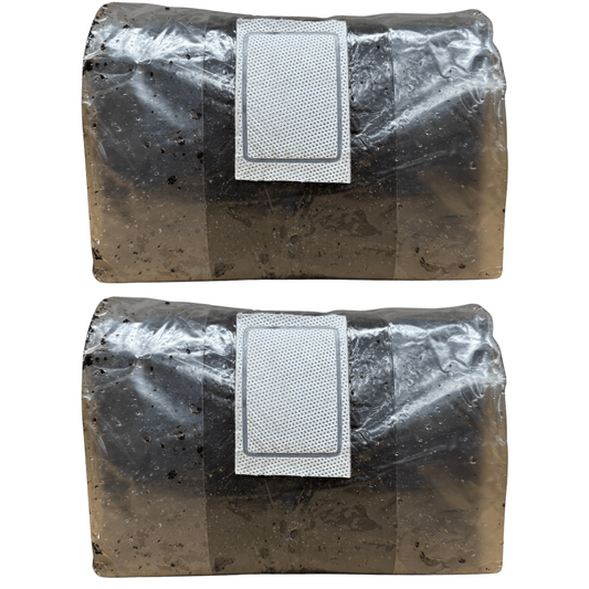 two-pack of ten pound bags of pasteurized CVG substrate on a white background