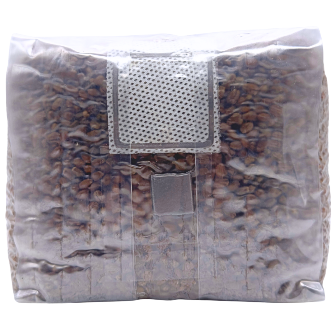 4 lb Sterilized Grain Spawn Bag | 4 Qt With Injection Port