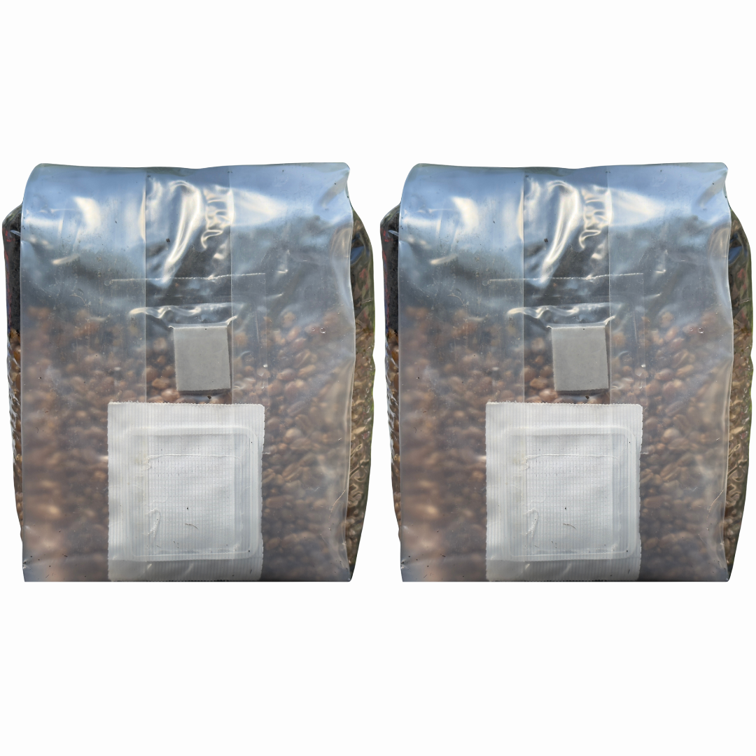 2 lb All-In-One Mushroom Grow Bag | Sterile CVG Kit
