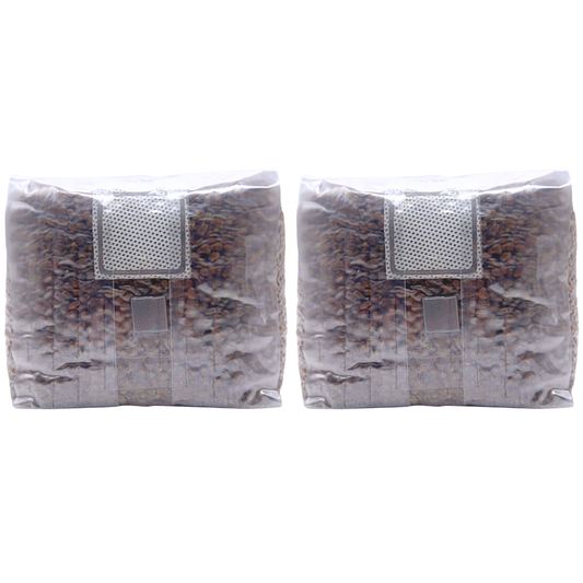 4 lb Sterilized Grain Spawn Bag | 4 Qt With Injection Port