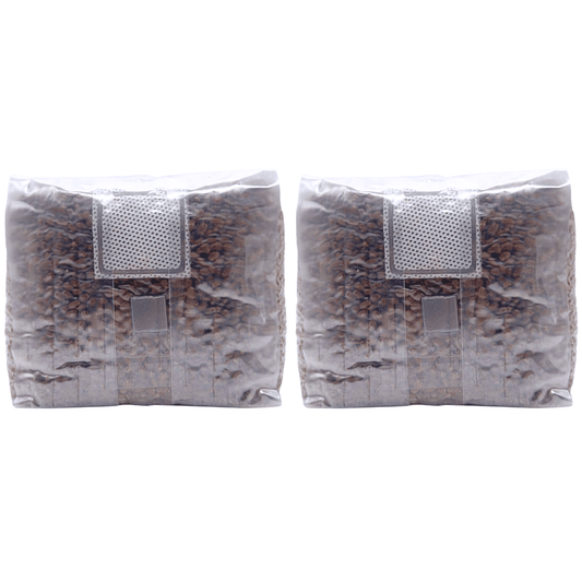 two-pack of 4 pound bags of sterile mushroom grain spawn
