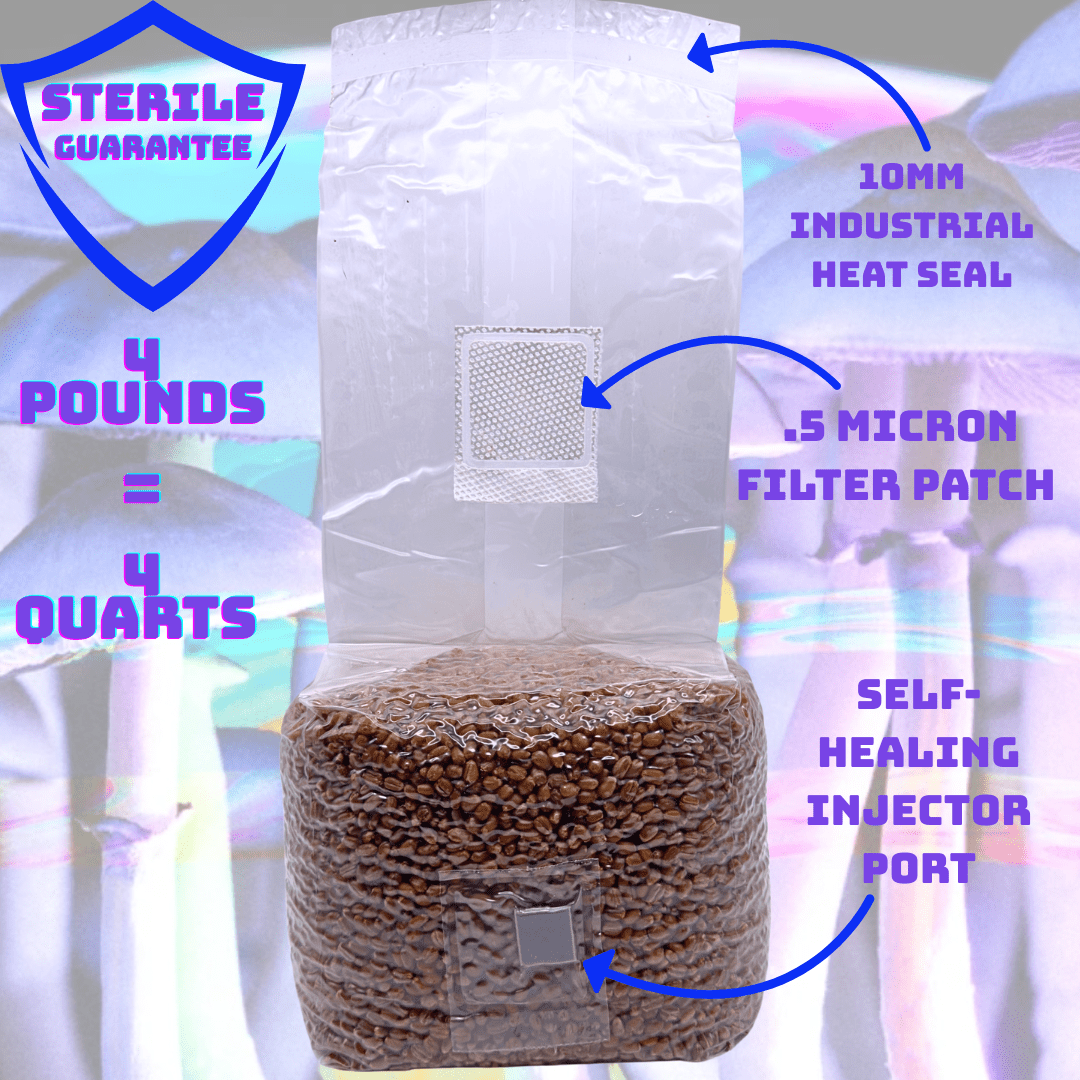 4 pound sterile grain spawn bag with product highlights