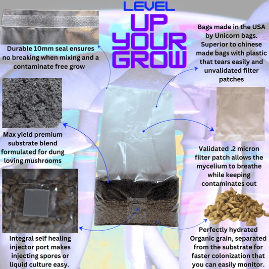 Promotional graphic for mushroom growing bags with text and images of materials and processes.