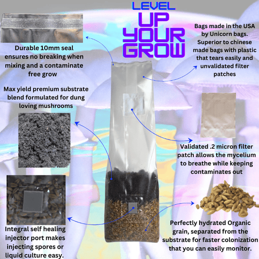 Promotional graphic for mushroom growing bags with text and images of the product and its features.