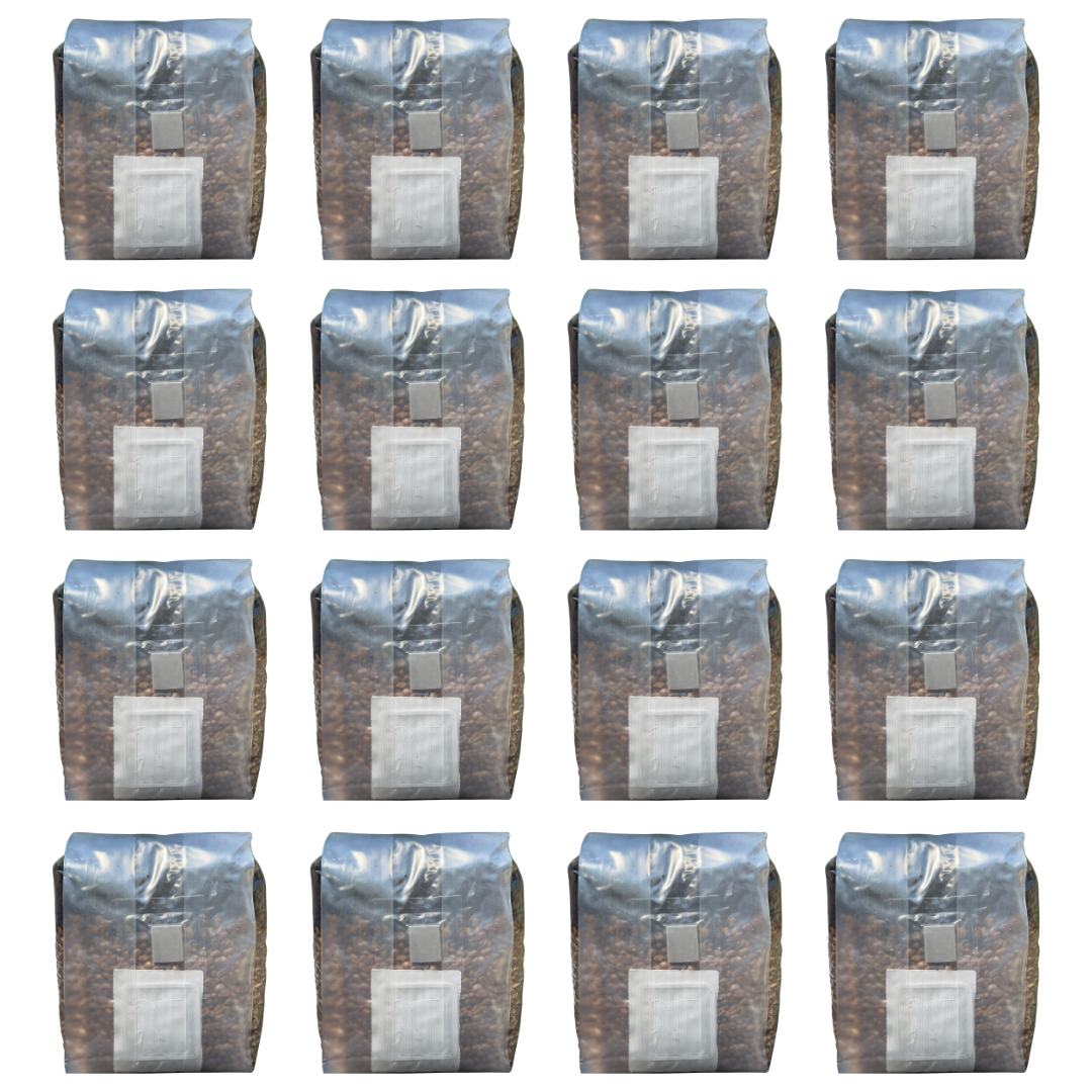2 lb All-In-One Mushroom Grow Bag | Sterile CVG Kit