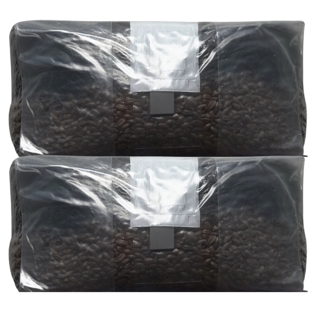 6 lb All-In-One Mushroom Grow Bag | Sterile CVG Kit