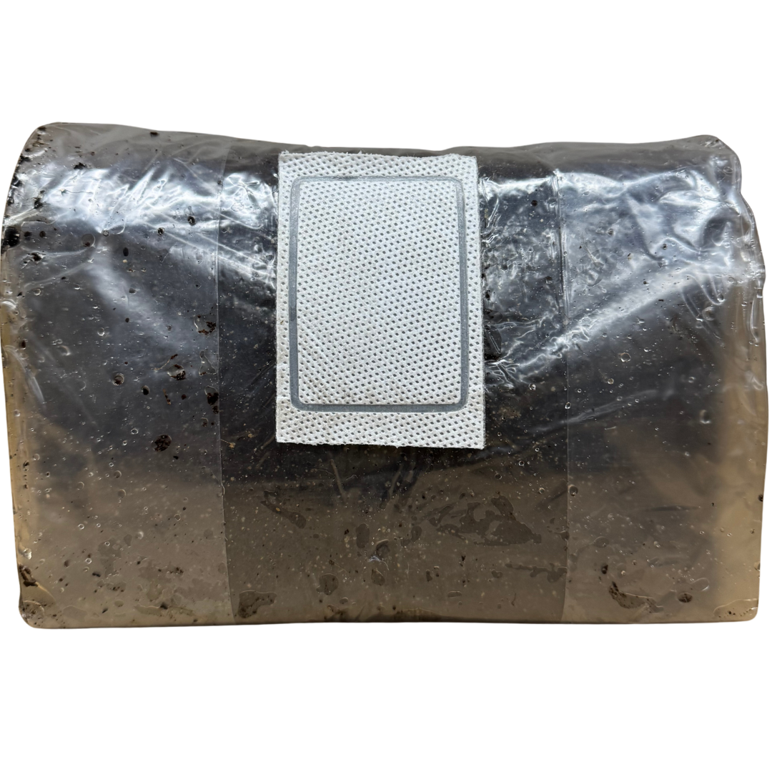 10 lb Pasteurized CVG Substrate | Bulk Mushroom Mix
