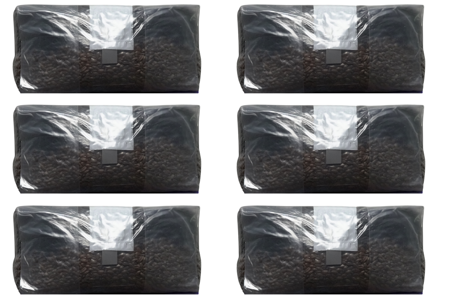 6 lb All-In-One Mushroom Grow Bag | Sterile CVG Kit