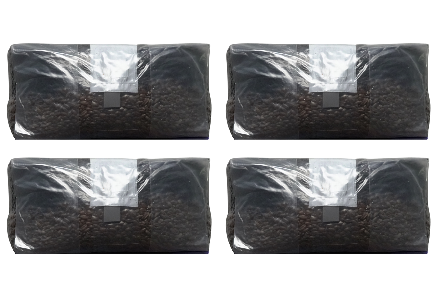 6 lb All-In-One Mushroom Grow Bag | Sterile CVG Kit