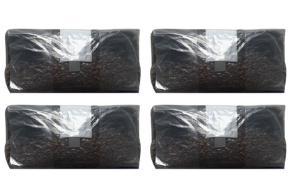 6 lb All-In-One Mushroom Grow Bag | Sterile CVG Kit