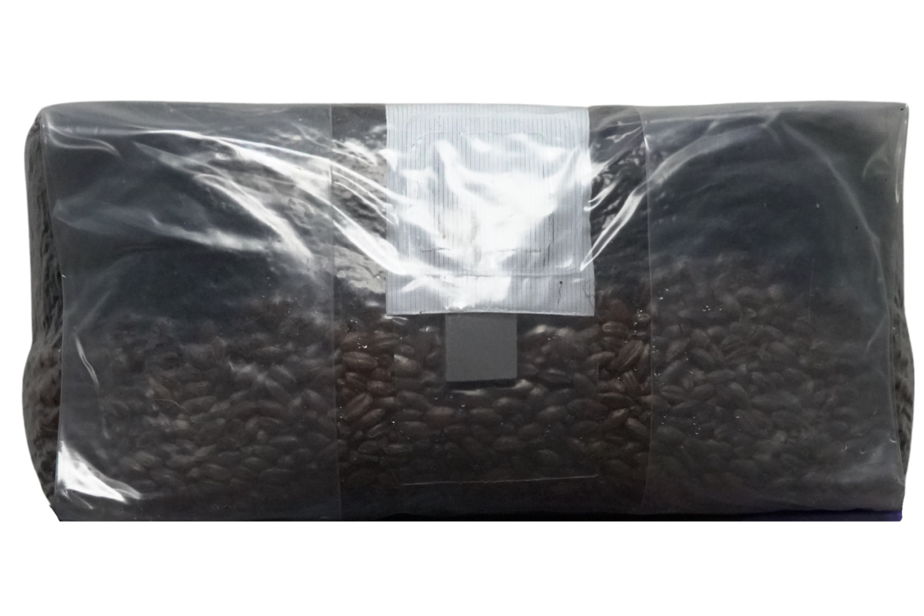 6 pound mushroom grow bag with cvg