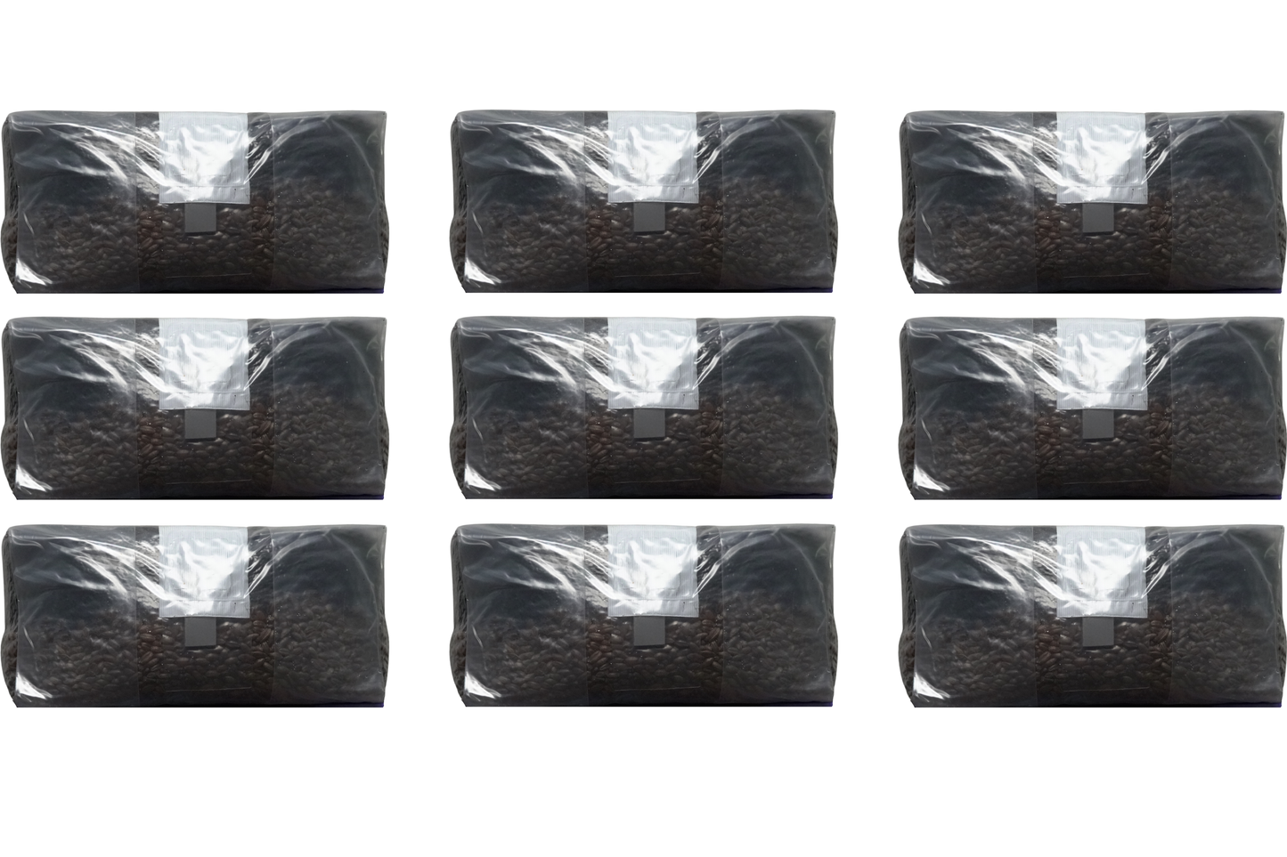 6 lb All-In-One Mushroom Grow Bag | Sterile CVG Kit