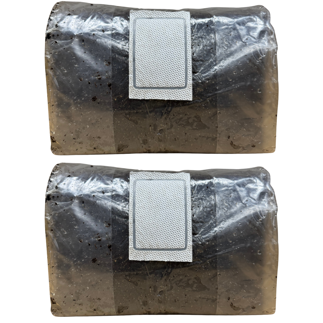 10 lb Pasteurized CVG Substrate | Bulk Mushroom Mix