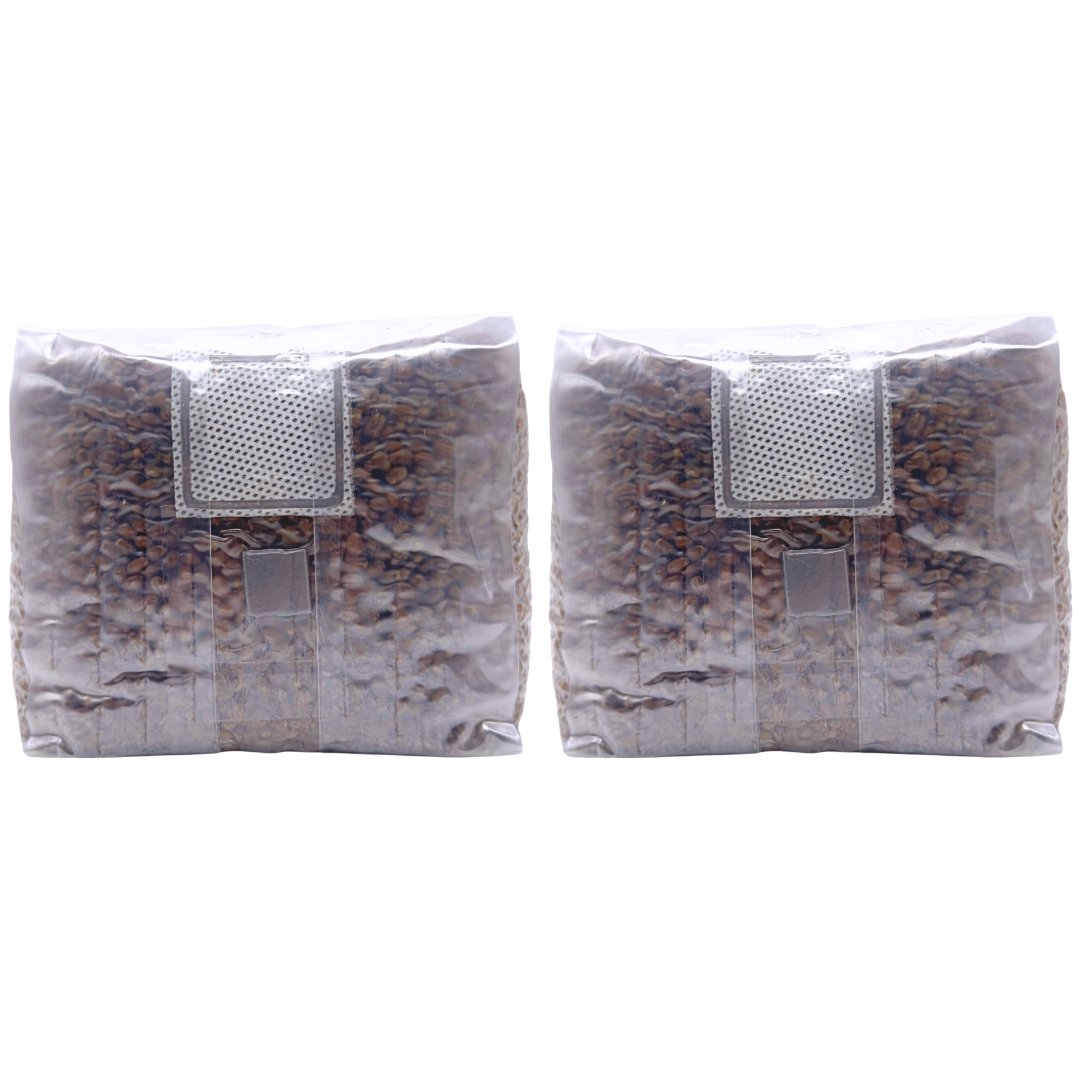 4 lb Sterilized Grain Spawn Bag | 4 Qt With Injection Port