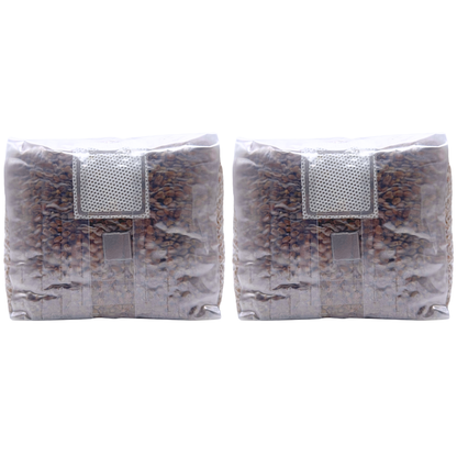 4 lb Sterilized Grain Spawn Bag | 4 Qt With Injection Port