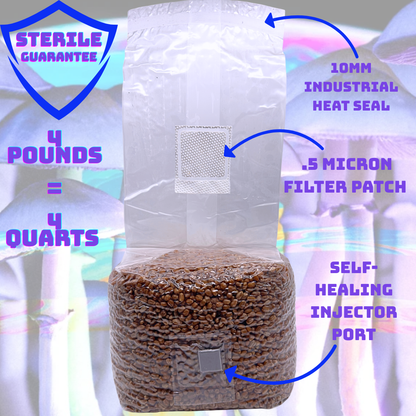 4 lb Sterilized Grain Spawn Bag | 4 Qt With Injection Port