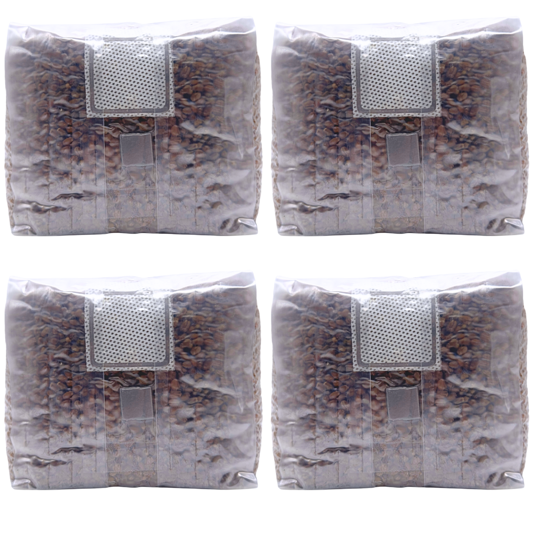 4 lb Sterilized Grain Spawn Bag | 4 Qt With Injection Port