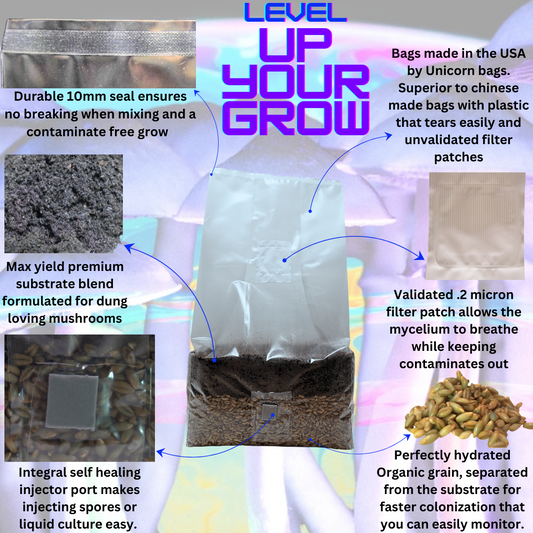 6 lb All-In-One Mushroom Grow Bag | Sterile CVG Kit