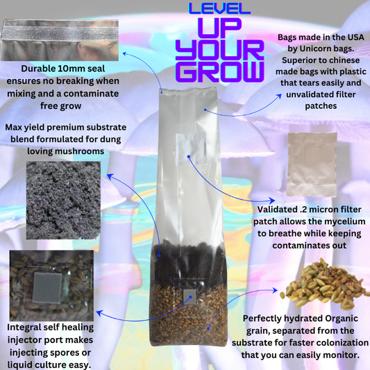 2 lb All-In-One Mushroom Grow Bag | Sterile CVG Kit