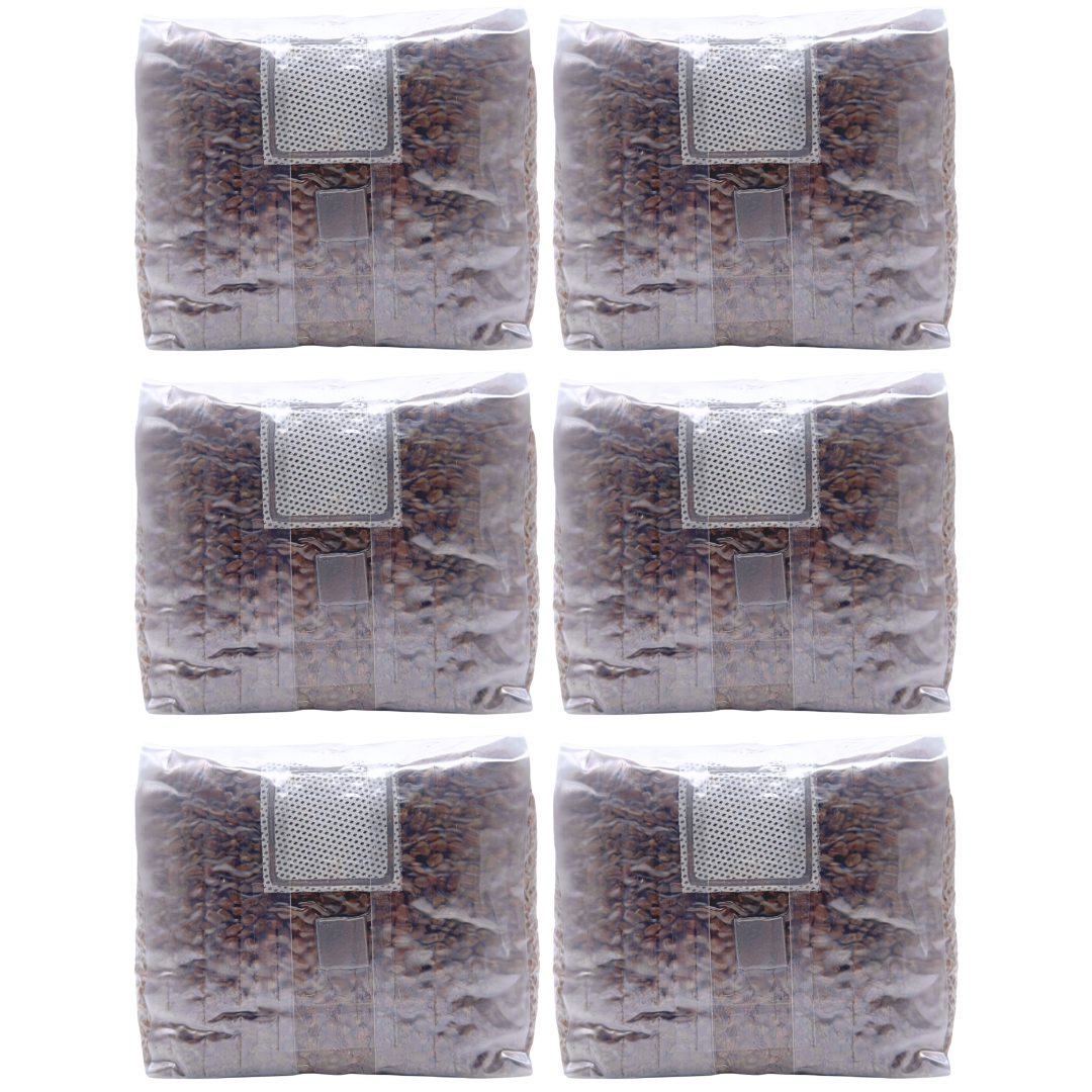 4 lb Sterilized Grain Spawn Bag | 4 Qt With Injection Port