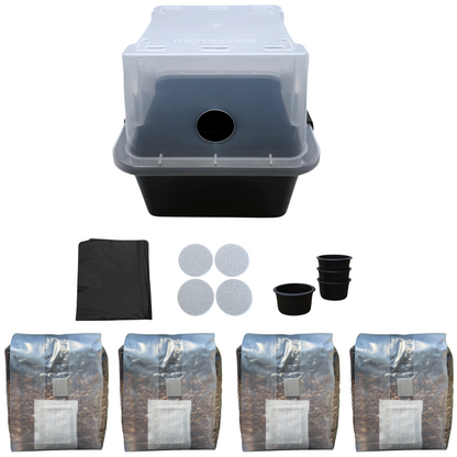 2 lb All-In-One Mushroom Grow Bag | Sterile CVG Kit